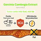 Garcinia - 4 Types - Peach