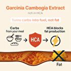 Garcinia - 4 Types - Mandarin