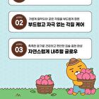esfolio Farm Lip Balm KAKAO FRIENDS Edition - 3 Types - Strawberry