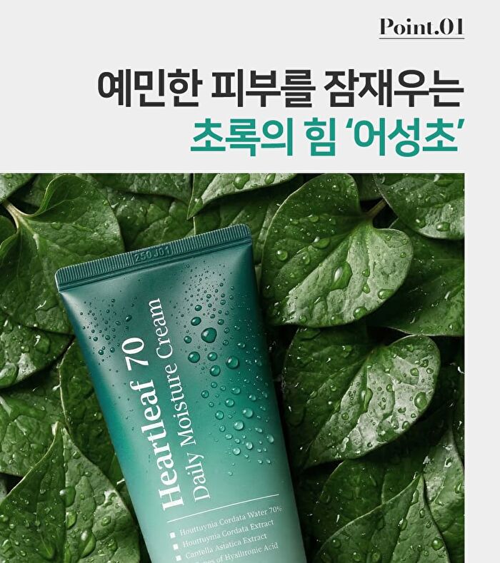 Heartleaf 70 Daily Moisture Cream - 120ml