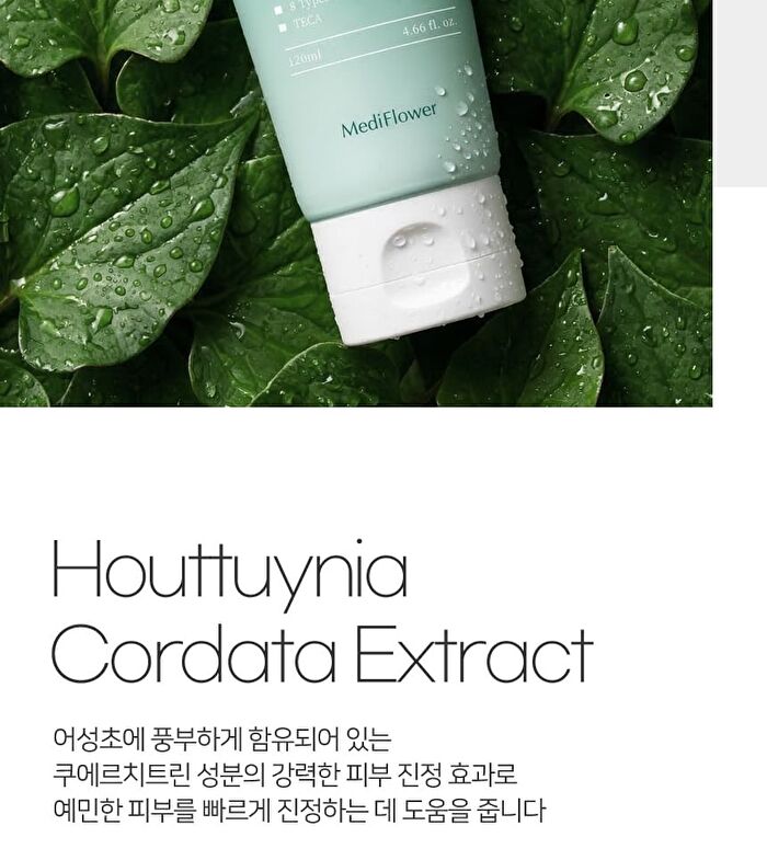 Heartleaf 70 Daily Moisture Cream - 120ml