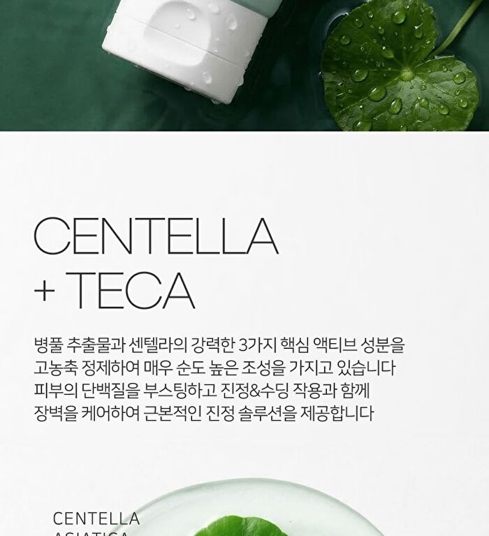 Heartleaf 70 Daily Moisture Cream - 120ml