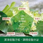 Tea Tree Anti-Acne Mask - 10 pcs