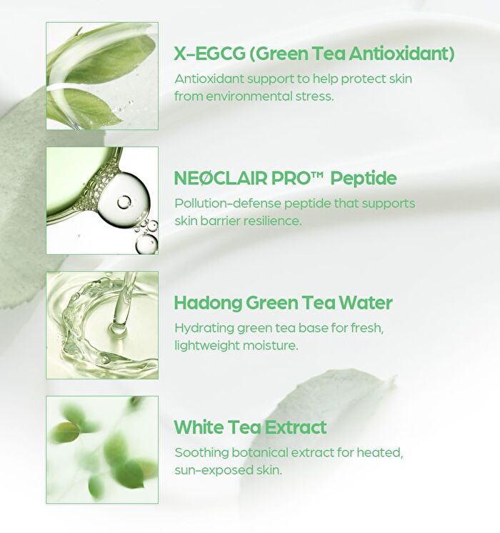 Matcha Light Sun Cream - 50ml