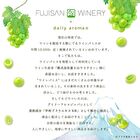 Mount Fuji Green Grape Mini Hand Cream - 20g