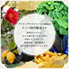 Mount Fuji Green Grape Mini Hand Cream - 20g