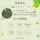Mount Fuji Green Grape Mini Hand Cream - 20g
