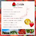 Strawberry Mini Hand Cream - 20g
