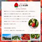 Strawberry Mini Hand Cream - 20g