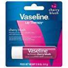 Lip Therapy Stick Cherry Blush - 4.8g