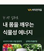 Phyto 101 Saururus Chinensis Extract - 20g x 10 bottles