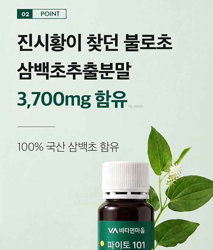Phyto 101 Saururus Chinensis Extract - 20g x 10 bottles