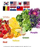 Phyto 101 Saururus Chinensis Extract - 20g x 10 bottles