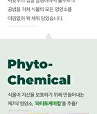 Phyto 101 Saururus Chinensis Extract - 20g x 10 bottles