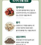 Phyto 101 Saururus Chinensis Extract - 20g x 10 bottles