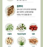 Phyto 101 Saururus Chinensis Extract - 20g x 10 bottles