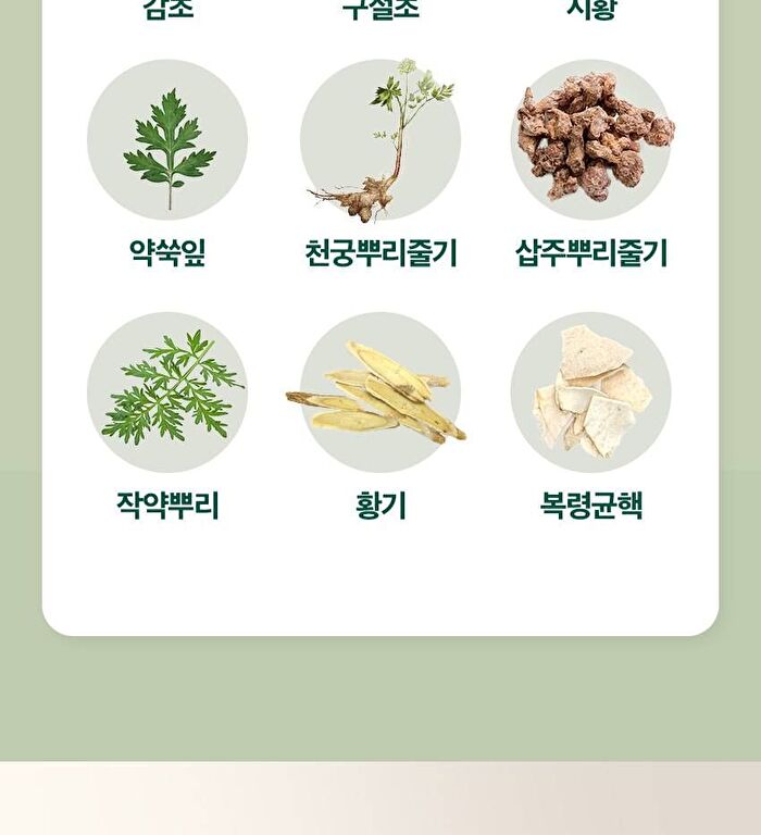Phyto 101 Saururus Chinensis Extract - 20g x 10 bottles
