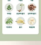 Phyto 101 Saururus Chinensis Extract - 20g x 10 bottles