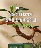 Premium Saururus Chinensis Extract Liriope Platyphylla Tablet - 800mg x 60 tablets