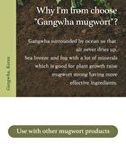 I\'m from Mugwort Essence - 2026 Version - 150ml