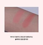 Entropy Slide-up Lip & Cheek Smoothie Edition - 6 Colors - #193C Apple Blend