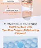 Yam Root Vegan pH-Balancing Cleanser - 120ml