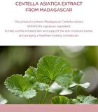 SKIN1004 Madagascar Centella Poremizing Clear Ampoule Pad - 60 Pads