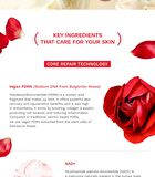 Rose PDRN Perfecting Base SPF - 40ml