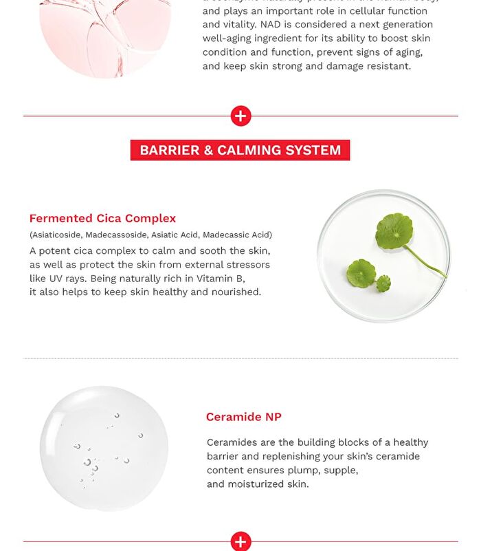 Rose PDRN Perfecting Base SPF - 40ml