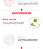 Rose PDRN Perfecting Base SPF - 40ml
