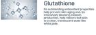 Truly High Concentration Serum - 6 Types - Panthenol