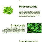 Truly High Concentration Serum - 6 Types - Centella