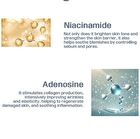 Truly High Concentration Serum - 6 Types - Centella
