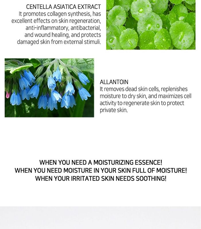 Solution Mask Pack - 26 Types - Olive