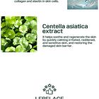 Solution Gel Mask - 6 Types - Collagen