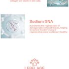Solution Gel Mask - 6 Types - PDRN