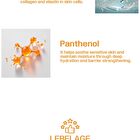 Solution Gel Mask - 6 Types - PDRN