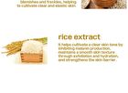 Clay 2 In 1 Pack Foam - 4 Types - Glutinous Rice