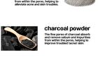 Clay 2 In 1 Pack Foam - 4 Types - Ssook