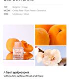 Inner Perfume - 17 Types - Eau De Bonbon