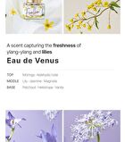 Inner Perfume - 17 Types - Eau De Bonbon