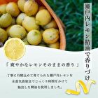 Setouchi Lemon Lip Cream - 7g