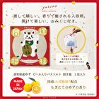 Beckoning Cat Yuzu Fruit Peel Bath Salt - 40g