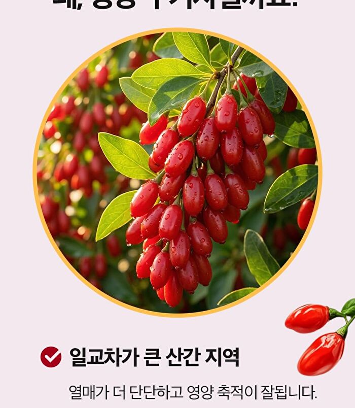 Red Yeast Rice Goji Berry Powder Stick - 2g x 30 sticks