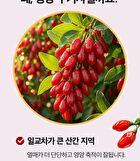 Red Yeast Rice Goji Berry Powder Stick - 2g x 30 sticks