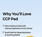 CCP Pad - 60 pads