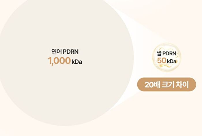 Fully Rice PDRN Glow Boosting Serum - 50ml