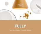 Fully Rice PDRN Glow Boosting Serum - 50ml