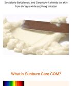 Mqny UV Daily Sun Stick - 2 Types - Moisture