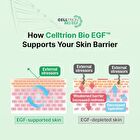 EGF Skin Barrier Sun Cream - 40ml